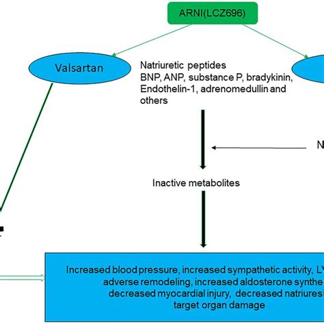 Angiotensin receptor-neprilysin inhibitor (ARNI) and its mechanism of ...