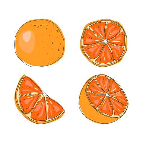 Set Of Fresh Whole Half Cut Slice And Leaves Orange Fruit Isolated On