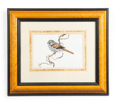 English Victorian Bird Watercolor 37