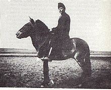 Przewalski's horse - Wikipedia