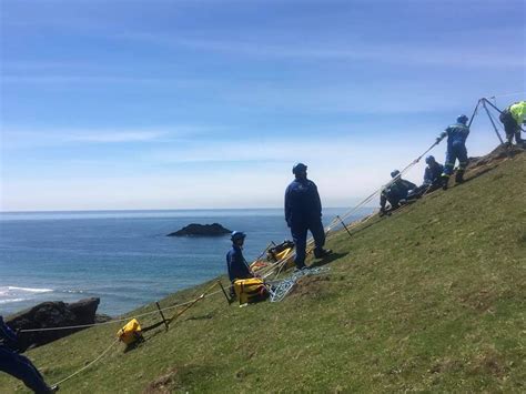 Dog Rescued Following Cliff Fall We Are South Devon