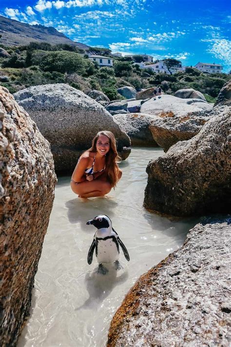 Boulders Beach Kapstadt Pinguine