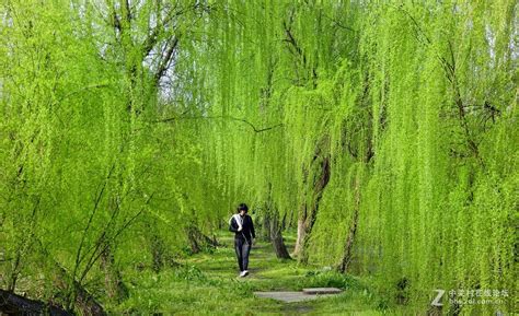 我家的后花园 中关村在线摄影论坛