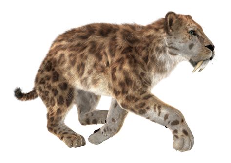 Big Cat Smilodon Cat, Animal, Saber Tooth, Feline PNG Transparent Image
