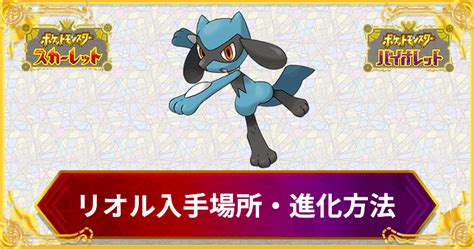 【ポケモンsv】リオルの入手場所と進化方法【スカーレットバイオレット】 Appmedia