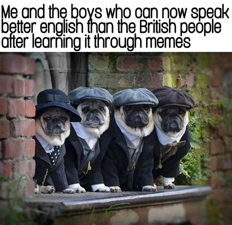 That's the Neat Part meme culture influences digital ads 29