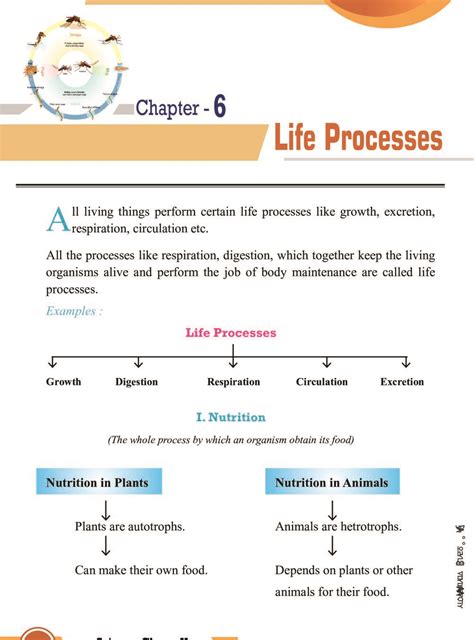 Life process class 10 By Hasan Jawed (hj study) ~ HJ STUDY (Hasan Jawed)