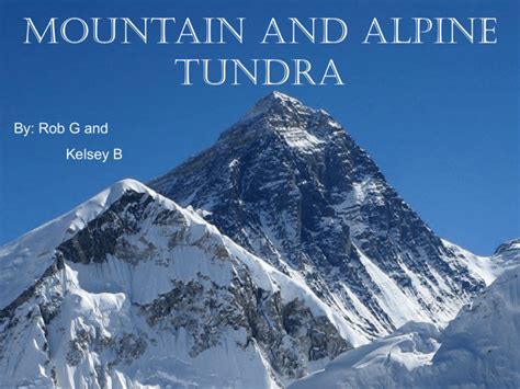 Mountain and Alpine Tundra