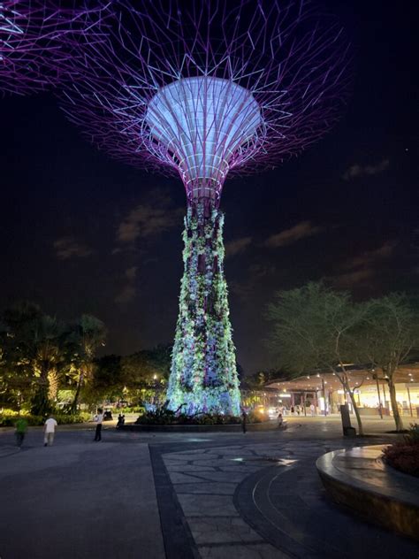 Two Days In Singapore Joe Benning Photography