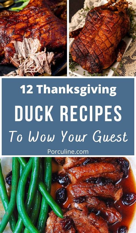 12 Best Duck Recipes For Thanksgiving Feast Artofit