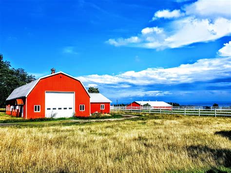 How To Buy A Farm In The UK? | A Guide To Starting A Farming Business ...