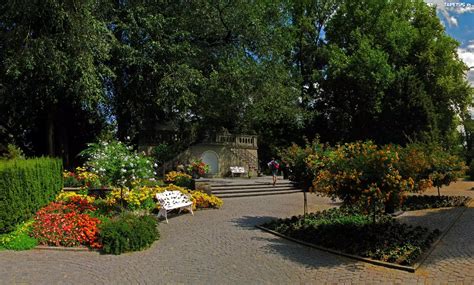 Park Drzewa Kwiaty Ławka