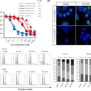 Combination Of Eribulin Eri And Linsitinib LINSI Attenuates Tumor