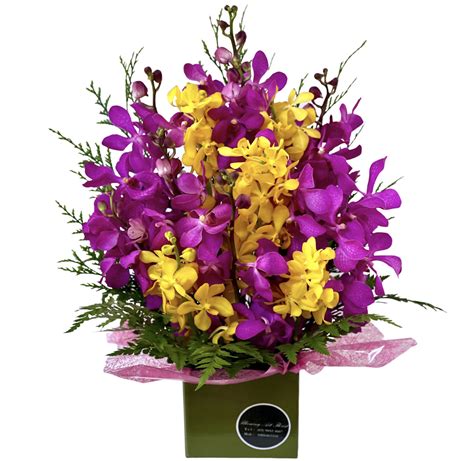 Stunning Orchid Flower Arrangement 2 colours Orchid Pagoda - Blooming ...