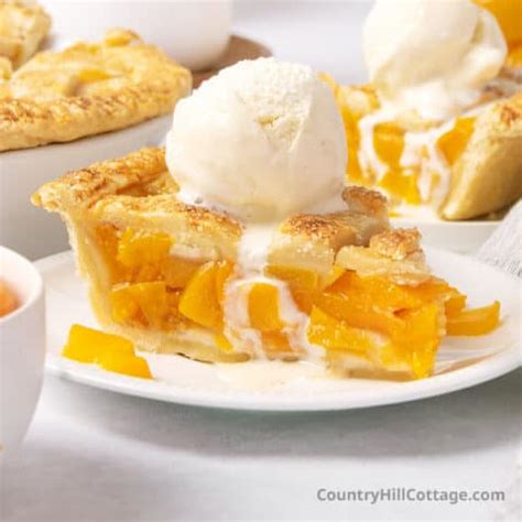 Canned Peach Pie