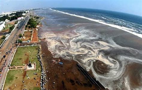 GEOLOGIA MARINHA E COSTEIRA O Porto De Chennai India