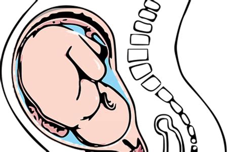 3 Signs Of Leaking Amniotic Fluid 2024