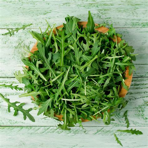 Arugula Seeds Wild Rocket Vegetable Seeds In Packets And Bulk Eden