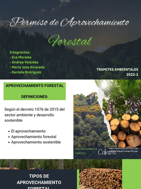 Permiso De Aprovechamiento Forestal Pdf Los Bosques Gestión De