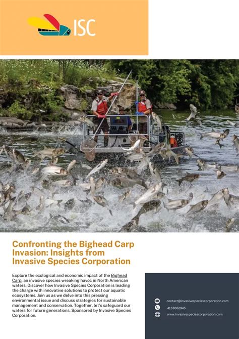 PPT - Confronting the Bighead Carp Invasion Insights from Invasive ...