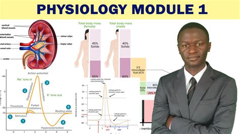 Human Physiology Module 1 For MD And DDS Dr Mlelwa Online Lectures