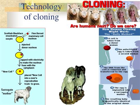 Cloning Technology Ppt at Missy Lynch blog