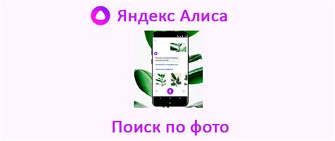 Яндекс Алиса — голосовой помощник на русском языке | Привет, я Алиса!