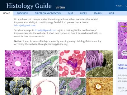 Sites Like Histologyguide Alternative Similar Sites