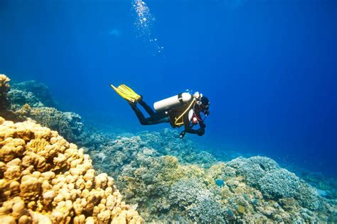 5 Reasons to Go Scuba Diving