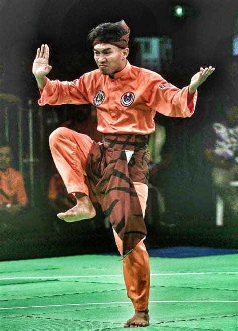 Unesco Recognises Silat As Malaysian Cultural Heritage Trp