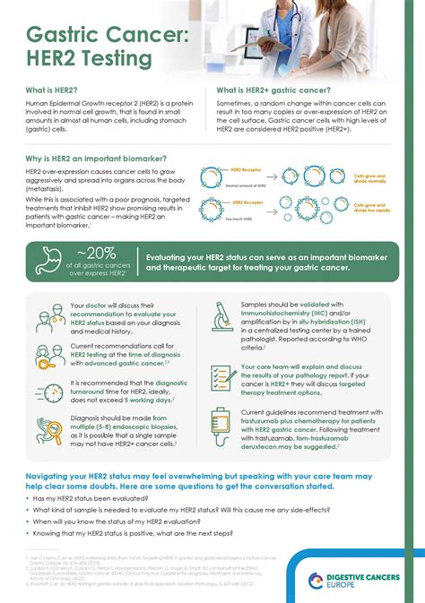 Gastric Cancer Her2 Testing Infographic Digestive Cancers Europe