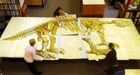 Revolutionary Find: Megatherium Fossils reveals truth