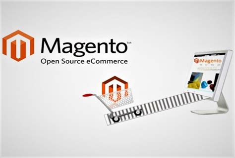 How Magento Web Developer Provide Best Solution For Your ECommerce