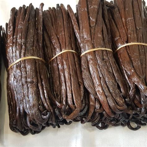 Vanilla Beans Grade A Premium - Etsy