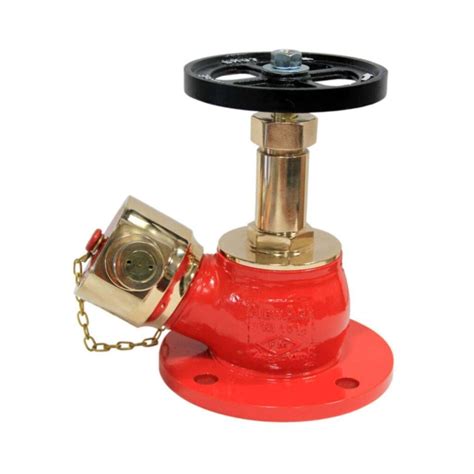 Buy Newage Flanged Oblique Hydrant Valve Gunmetal