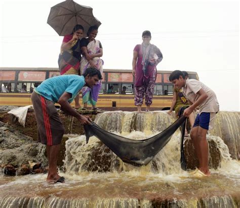 Chennai Flooded After Overnight Downpour More Rains Expected Rediff