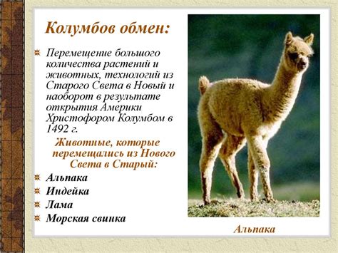 Христофор Колумб - великий путешественник - презентация онлайн