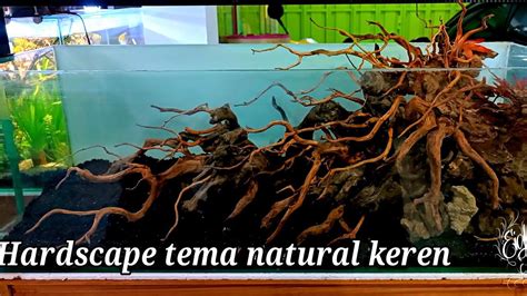 Membuat Hardscape Aquascape Tema Natural Dengan Kayu Rasamala Dan Kayu