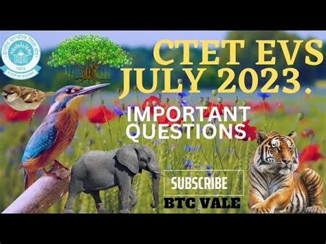 Ctet July Ncert Based Evs Special Class Ctet Ncert Evs Class