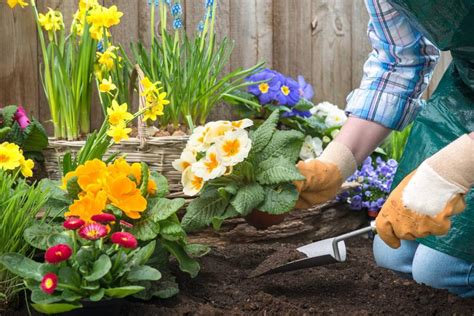 Calendrier Des Travaux De Jardinage Par Mois Et Par Saison