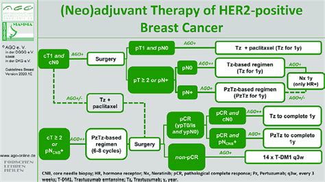 Neoadjuvant Therapy Of Her2 Positive Breast Cancer Download