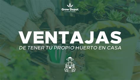 Ventajas De Tener Tu Propio Huerto En Casa Grow Depot M Xico