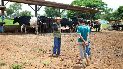 De La Granja A La Mesa El Papel Del Veterinario En La Seguridad