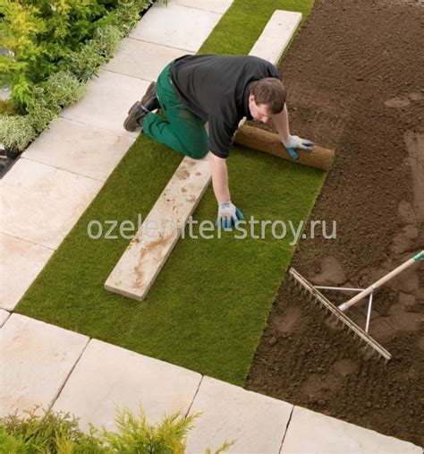 Создание рулонного газона