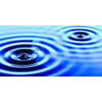 Phys Rev Lett 132 054003 2024 Water Wave Vortices And Skyrmions