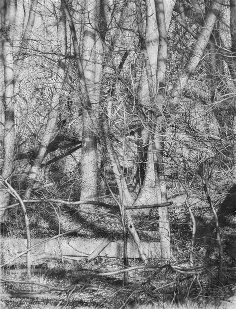 Collapse To Nature Graphite By Armin Mersmann Landscape Drawings