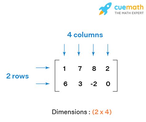 Types of Matrices - Examples, Identifying, Special Matrices