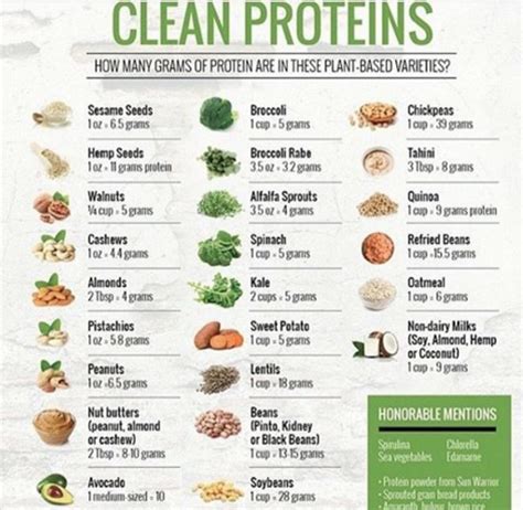 Meat is Not Protein - Amino Acids are from Plant Kingdom