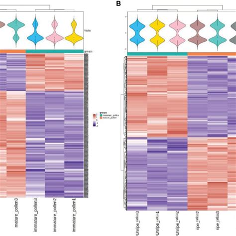 Expression Pattern Clustering Heat Map A Clustering Heat Map Of