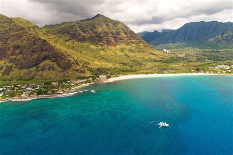 Oahu Dolphin Watching And Snorkelling Cruise Hellotickets